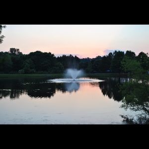 Meet your Posher, Lexie